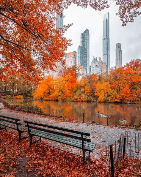 Fall In Central Park, Pumpkin Spice Scent, Let Things Go, It's The Great Pumpkin, New York City Photos, Autumn In New York, Autumn Magic, Autumn Scenes, New Animal Crossing