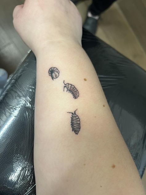 Rollie Pollie Tattoo, Roly Poly Tattoo, Rolly Polly Tattoo, Poly Tattoo, Rollie Pollie, 2024 Tattoo, Rolly Polly, Cute Tats, Semicolon Tattoo