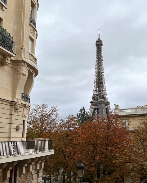 cosy spots in Paris to add to your list for visiting this autumn 🍂🤎☕️ all of these spots are equally perfect all year around, but just add to the cosy season aesthetic 🕯️ swipe to the end for details and save for your next trip 💌 . . . . . #paris #visitparis #autumninparis #autumnaesthetic #fallaesthetic #cosyspotsinparis #petitpalais #museedelavieromantique #parisrooftops #parisian #hiddengemsparis #thingstodoinparis #travelgram #travelphotography #parisfavourites #travelinspo #travelinsp... Paris November Aesthetic, Cosy Season, Spots In Paris, Paris Autumn, Paris Seine, Paris In The Fall, Paris In Autumn, Season Aesthetic, Paris Rooftops