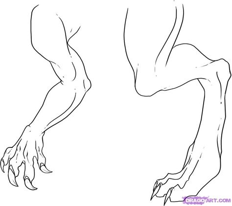 Feet Drawing, Drawing Legs, Dragon Sketch, Dragon Artwork, Dragon Drawing, Creature Concept Art, Dragon Art, Drawing Poses, Drawing Reference Poses