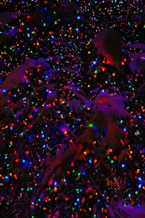 Christmas Lights Christmas Pictures With Lights, Christmas Lights Wallpaper, Trippy Iphone Wallpaper, Christmas Aesthetic Wallpaper, Xmas Wallpaper, Cute Christmas Wallpaper, Christmas Phone Wallpaper, Colorful Lights, Christmas Wallpapers