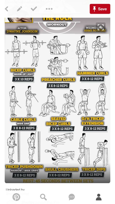 Rock arms Rock Workout, The Rock Workout, Arm Workout Routine, Exercises For Men, Bicep And Tricep Workout, Arms Workout, Weekly Workout Plans, Bodyweight Exercises, Wednesday Workout