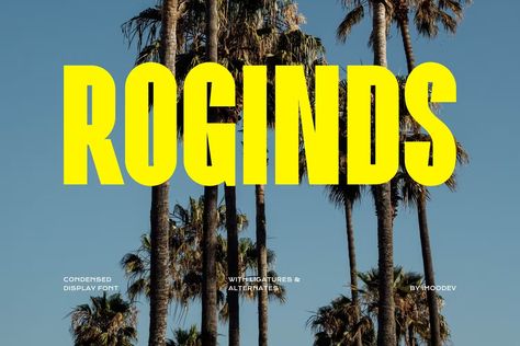 Roginds - Modern Bold Fonts, Fonts - Envato Elements Modern Bold Fonts, Bold Fonts Free, Bold Serif Fonts, Free Commercial Fonts, Latest Fonts, Elegant Serif Fonts, Modern Serif Fonts, Modern Serif, Font Combinations