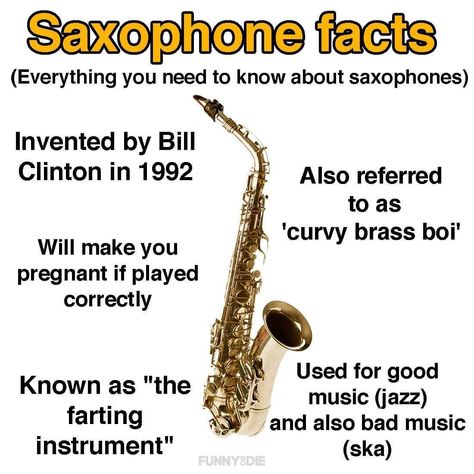 Saxophone Jokes, Musician Jokes, Funny Band, Marching Band Humor, Band Jokes, Saxophone Players, Music Jokes, Band Nerd, Band Geek