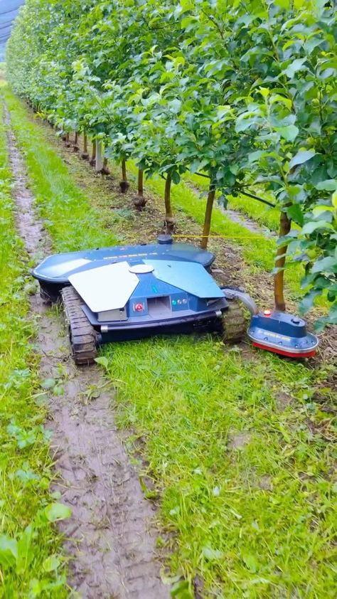 The Vintner Project | The Probotics Scarabæus Mulching Analysis Robot in action 🤖 … Probotics Scarabæus is a groundbreaking agricultural robot that automates a… | Instagram Agriculture Robot, Wine Gadgets, Modern Farming, Agriculture Farming, Vegetable Garden Design, Sustainable Design, Wine Country, Weeding, Vegetable Garden