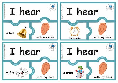 English Created Resources, Free English Worksheets, Speech Therapy Worksheets, English Lab, Shape Activities Preschool, Senses Activities, Anatomy Lessons, Classroom Anchor Charts, Teaching Plan