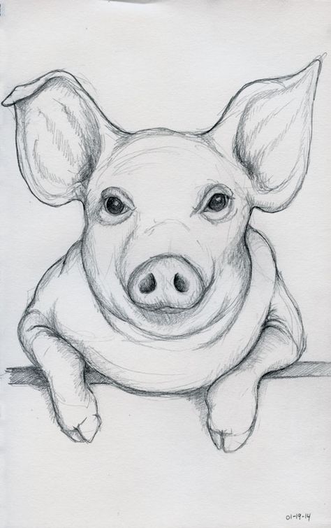 Farm Animals Sketch, Farm Animal Drawings Sketches, How To Draw A Pig Face, Pig Sketch Easy, Pig Drawing Realistic, Cute Pig Drawing Easy, Farm Animal Sketches, Pig Art Drawing, Cow Sketch Easy