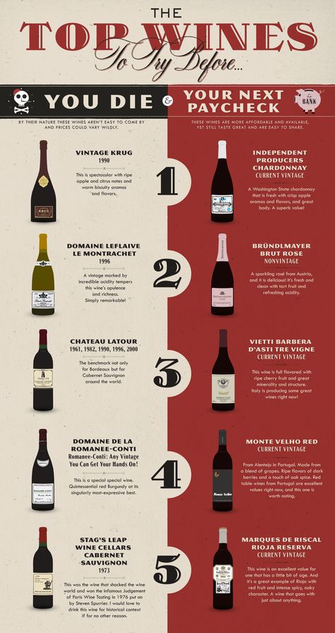 Top Wines to Try | Dark Rye Wine Infographic, Wine Chart, Wine Facts, Wine 101, Wine Knowledge, Wine Education, Wine Guide, Wine Food Pairing, Wine Top