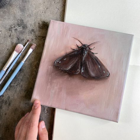 Moth Oil Painting, Aesthetic Moth, Moth Painting, Darkacademia Aesthetic, Fairycore Aesthetic, Aesthetic Inspiration, Dark Academia Aesthetic, Realistic Art, Anime Sketch