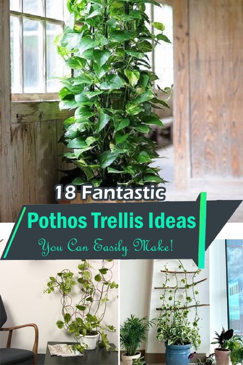 Want to train your green buddies in style? Here are some fantastic Pothos Trellis Ideas You Can Easily Make! Climbing Pothos Indoor Wall, Indoor Ivy Trellis Ideas, Diy Trellis Houseplant, Climbing Plants Ideas, Plant Pot Trellis, Bamboo Plant Trellis, Pothos Plant Wall Decor, Hanging Pothos On Wall, Pathos Hanging Ideas