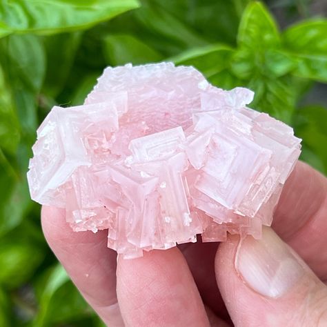 This is a terrific Pink Halite exhibiting well defined stepped and hoppered faces on the formation of cubic crystals.  The crystals have a nice luster and present on all sides of the piece.  2.13" x 1.97" x 0.99" or 54.2mm x 50.1mm x 25.2mm.  Fascinatingly, this type of Halite has a natural, profoundly pink color that is the result of the presence of ancient algae, iron oxide, and magnesium. The color, form and condition of this fine piece are representative of a higher quality specimen of Pink Halite Crystals, Pink Halite, Crystal Healing Chart, Magic Stones, Vera Cruz, Desert Glass, Imperial Topaz, Cool Rocks, Quartz Sphere