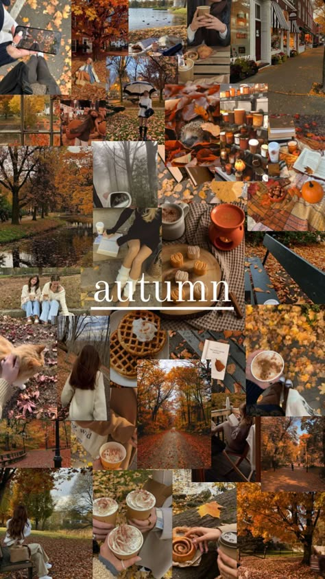 #autumn #collage #wallpaper Autumn Collage Wallpaper, Autumn Collage, Happy Birthday Icons, September Wallpaper, Autumn Phone Wallpaper, Fall Photo Shoot Outfits, Autumn Instagram, Cute Fall Wallpaper, Iphone Wallpaper Fall