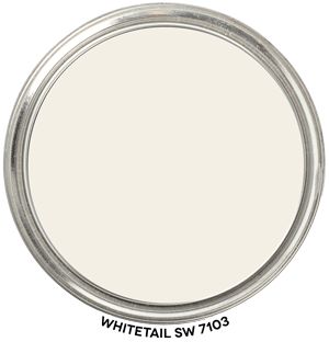 Neutral interior paint color. Whitetail 7103 by Sherwin-Williams Paint Blob #Whitetail #SW7103 #SherwinWilliams #paint #color #ColorographyLab Paint Blob, Salons Cottage, Neutral Interior Paint Colors, Long Narrow Kitchen, Interior Paint Colors Schemes, Hale Navy, Greek Villas, Revere Pewter, Neutral Paint Colors