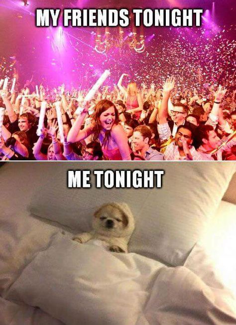 My friend's tonight vs Me tonight - New Year's Eve meme New Years Eve Meme, Funny New Years Memes, Introvert Vs Extrovert, Introvert Jokes, Happy New Year Funny, New Years Eve Quotes, New Year Meme, Funny New Year, Introvert Humor