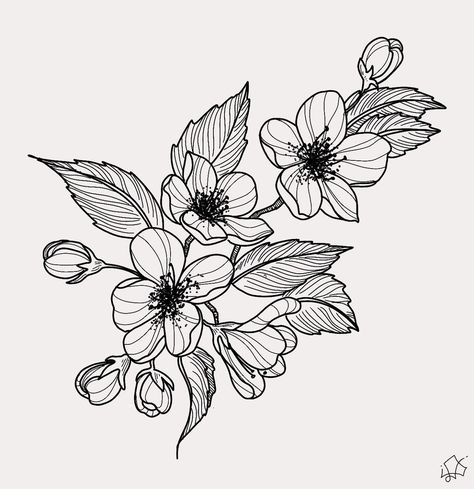 hawthorne Hawthorne Blossom Tattoo, Red Hawthorne Flower Tattoo, Hawthorn Blossom Tattoo, Hawthorn Tattoo Design, Hawthorne Flower Tattoo Designs, Hawthorne Tattoo Flowers, Hawthorne Tree Tattoo, Common Hawthorn Tattoo, Hawthorn Tree Tattoo