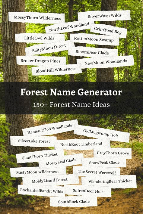 Use this magical forest name generator or create your own forest name with our fun technique. Explore over 150 forest name ideas. Forest Related Names, City Names Aesthetic, Fantasy Places Names Ideas, Magical Names For Places, Fantasy Village Names Ideas, Fantasy Forest Names Ideas, Fantasy Place Name Generator, Forest Names Nature, Minecraft Magic Forest Ideas