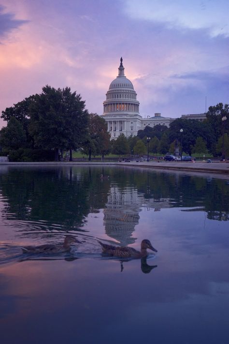 US Capitol at Sunset Washington Dc Capitol, Dc Photography, Arlington National Cemetery, Washington Dc Travel, Light Blue Aesthetic, Dc Travel, Us Capitol, Capitol Building, District Of Columbia