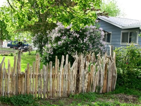 this is a "neat" driftwood fence Driftwood Fence Diy, Raw Wood Fence, Drift Wood Fence, Driftwood Fence Ideas, Creative Fence Ideas, Driftwood Fence, Rustic Garden Fence, Decorative Garden Fencing, Rustic Fence