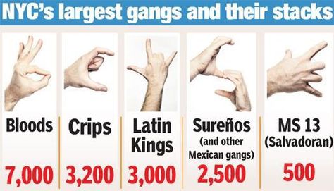 A to Z: Deadly slang by gangs of New York Nicky Barnes, Gang Symbols, Rap Music Hip Hop, Italian Hand Gestures, Ms 13, Small Wave Tattoo, Gangs Of New York, Gang Signs, Gang Culture