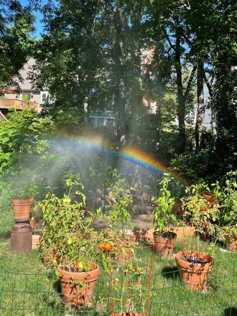 Rainbow - Garden Rainbow Cottagecore, Leprechaun Rainbow, Pjo Cabins, Nature Rainbow, Spring Rainbow, Summer Vision, Slime Rancher, Aquarius Rising, Rainbow Garden