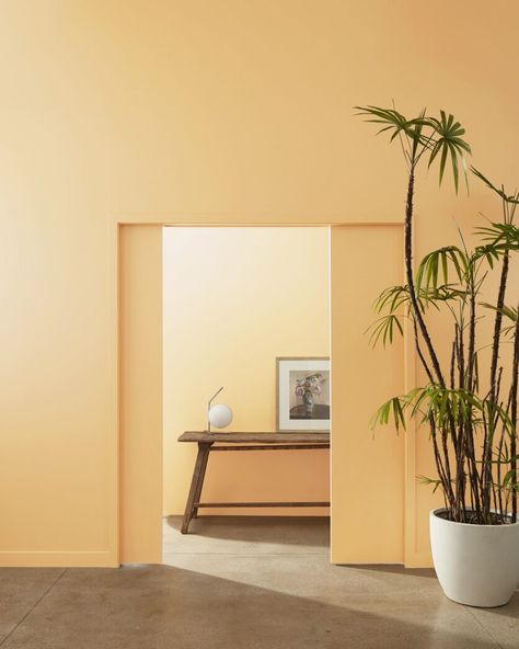 A honeyed bronze that can softly accent a space or bathe an entire room in comforting warmth. Benjamin Moore Yellow, Paint Color Swatches, Yellow Paint Colors, Exterior Stain, Yellow Doors, Benjamin Moore Colors, Caramel Corn, Orange Paint, Workspace Design