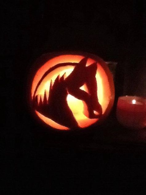 #pumpkin #carving #equestrian #horses #equestrianclearance  See more here: www.facebook.com/equestrianclearance.com Horse Carving Pumpkin, Ways To Carve A Pumpkin, Horse Pumpkin Carving, Pumpkin Carve Ideas, Horse Pumpkin, Pumpkin Carving Ideas Easy, Pumpkin Carve, Carve A Pumpkin, Equestrian Horses