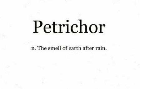 Petrichor: the smell of earth after rain. Didn't know there was a word for it! <3 Smell Of Rain Word, Petrichor Tattoo, Smell Of Earth After Rain, The Smell After Rain, The Smell Of Rain, Rain Words, Phobia Words, Smell Of Rain, Unique Words Definitions