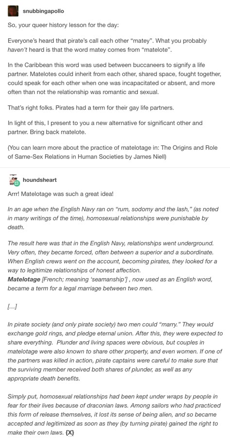 Queer history of pirates Pirate History Facts, Pirating Websites Tumblr, Pirate Writing Ideas, Pirates Facts, Pirates Historical, Pirate Story Ideas, Pirate Facts, Pirates History, Pirate Stories