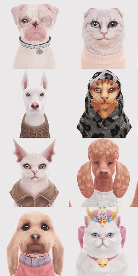 pet dump! ♡🐶 | deepmoon Sims 4 Cc Animal Clothes, Sims 4 Pet Cc Clothes Patreon, Sims 4 Cat Download, Sims4 Cats And Dogs Cc, Pet Beds Sims 4 Cc, Sims 4 Pet Cc Collars, Sims 4 Pets Cc Clothes, Sims 4 Cc Dog Clothes, Pet Sims 4 Cc