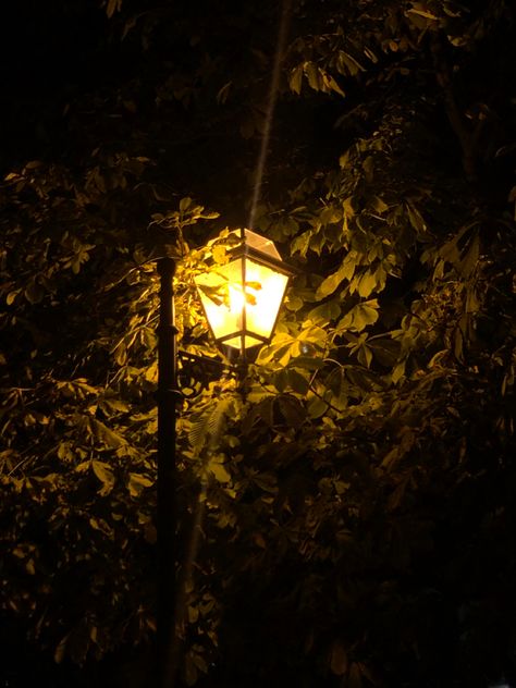 Rainy Day Pictures, Carpe Noctem, Light Study, Street Lights, Cute Emoji Wallpaper, Poster Background, Poster Background Design, Legolas, Emoji Wallpaper