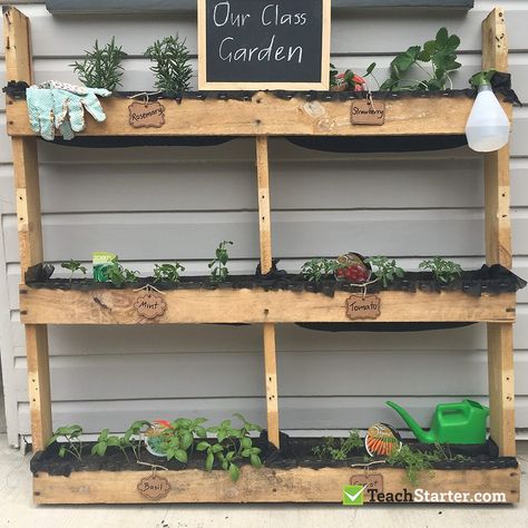 Class Garden, Class Artwork, Garden Theme Classroom, Classroom Garden, Eyfs Outdoor Area, Garden Classroom, Eyfs Outdoor, Garden Simple, Curiosity Approach