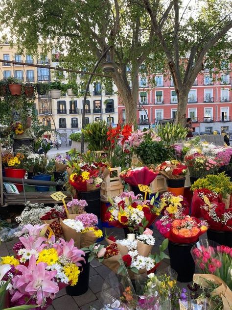 ℒ on Twitter: "🌺🌸🍹 https://t.co/0C8eV6FAhV" / Twitter Spain In October, Madrid Streets, Madrid Life, Spain Flowers, Madrid Spain Aesthetic, Madrid Summer, Madrid Instagram, 5 Days In Paris, Madrid Aesthetic