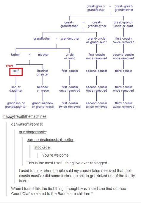 Family tree Raw Lines, Count Olaf, Family Tree Chart, The More You Know, Writing Help, What’s Going On, Writing Inspiration, Tumblr Funny, Tumblr Posts