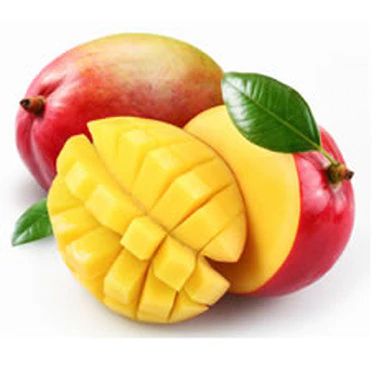 Pure Mango Madness Fragrance Oil African Mango Benefits, Mango Fragrance, Candle Making Fragrance, African Mango, Food Scientist, Natural Fragrance Oil, Candle Supplies, Mango Flavor, Sugary Food