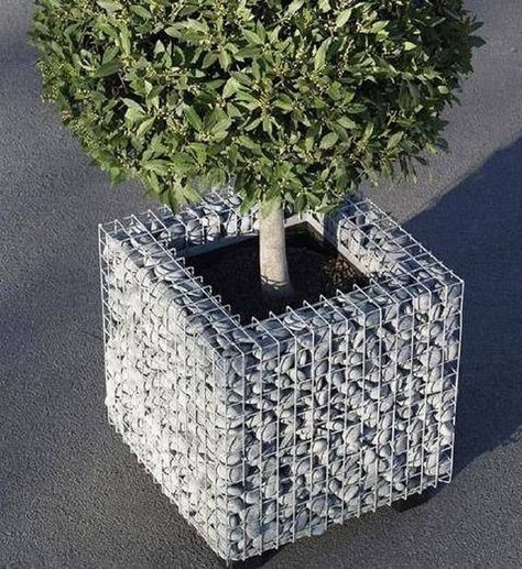 Gabion Wall Design, Gabion Fence, Gabion Baskets, Gabion Wall, Garden Features, Fence Design, Garden Wall, Garden Planters, Backyard Garden