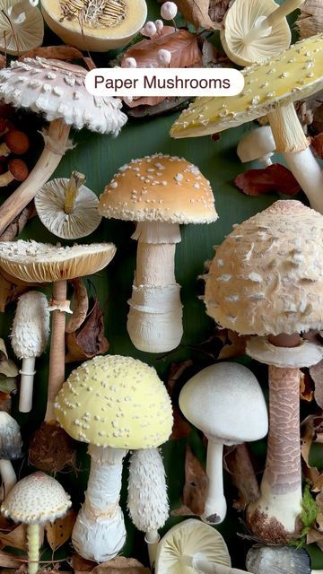 Ann Wood @Woodlucker/paper art on Instagram: "Freshly handmade PAPER Amanita mushroom. The top kinda looks like a hamburger bun with sesame seeds!    #annwood #handmade #imadethis #woodlucker #paperartist #viral #paperart #papermushroom #mushroom #mushrooms #mushroomlover #ilovemushrooms #mushroomsofinstagram" Mushroom Paper Craft, Paper Mushrooms, Mushroom Guy, Vbs 2025, Amanita Mushroom, Ann Wood, Spun Cotton Ornaments, Cotton Ornaments, Plant Fungus