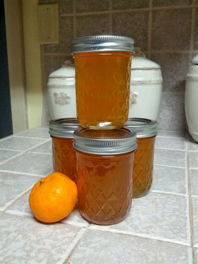 Satsuma Jelly, Satsuma Recipes, Apricot Pineapple Jam, Kumquat Marmalade, Pineapple Jam Recipe, Satsuma Orange, Marmalade Recipe, Citrus Recipes, Canning Jam