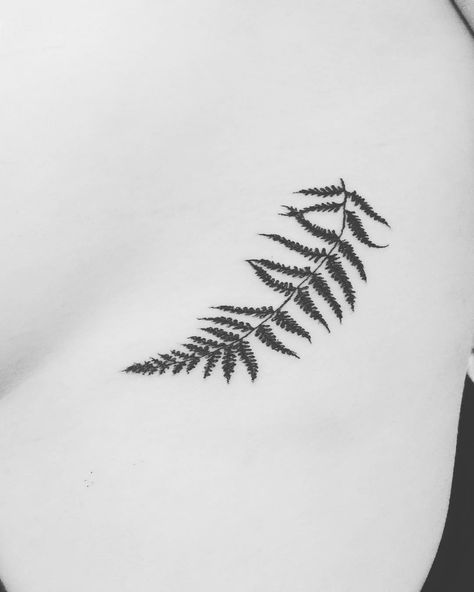 Hidden Tattoos Ideas, Ashley Hamilton, Hidden Tattoo, Fern Tattoo, Hidden Tattoos, Stick N Poke, Heart Tattoos, Cat Tattoos, Inspiration Tattoos