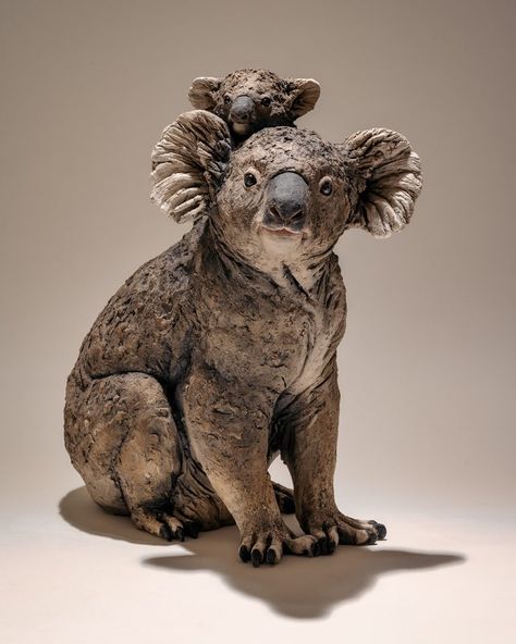 Win a Koala Sculpture Koala Sculpture, Australian Mammals, Easy Clay Sculptures, Australian Fauna, Work In Australia, Pottery Animals, Clay Sculptures, Animal References, Montezuma