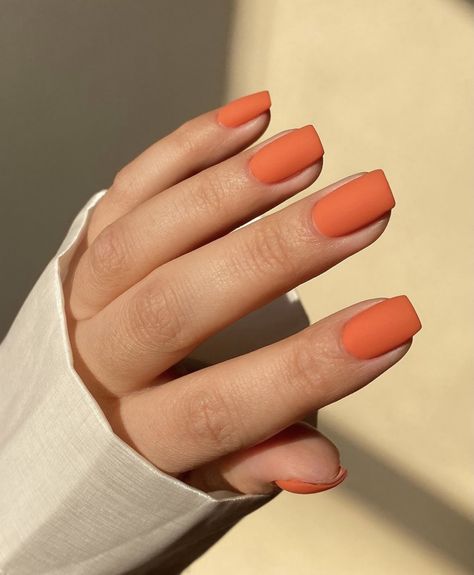 Halloween Nails Plain Colors, Matte Orange Nails Short, Matt Orange Nails, Burnt Orange Dip Powder Nails, Cute Solid Color Nails Fall, Matte Fall Nails Autumn Short, Wedding Nails Terracotta, Dusty Orange Nails, Orange Nails Ideas Short