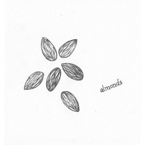 Almond Nut, Human Form, Menorah, Cute Tattoos, Piercings, Mood Board, Almond, Essence, Art Drawings