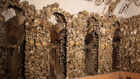 Capuchin Crypt, Rome Catacombs, Front Room Decor, Rome Tours, Italian Vacation, The Catacombs, Rome Travel, After Hours, Hidden Treasures