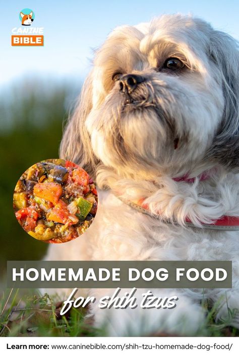 Homemade Dog Food For Shih Tzus Shih Tzu Homemade Dog Food, Homemade Dog Treats For Shih Tzu, Shih Tzu Food Recipes, Homemade Dog Food For Shitzu, Homemade Dog Food Recipes For Small Dogs, Dog Food Recipes Crockpot, Healthy Dog Food, Shitzu Dogs, Shitzu Puppies