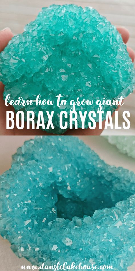 How to Grow Giant Borax Crystals Growing Epsom Salt Crystals, Borax Seashells, How To Grow Crystals Diy, Borax Crystals Diy Deer Skull, How To Make Borax Crystals, Borax Crystals Diy Ideas, Borax Crystals Diy Skull, Crystal Art Crafts, Homemade Crystals