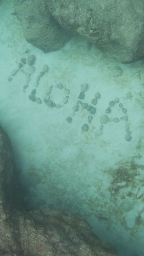 Found this at the bottom of Sharks Cove at the North Shore on Oahu Beachy Aesthetic, North Shore, Oahu, Sharks, Snorkeling, Tourism, Hawaii, I Want, Photography