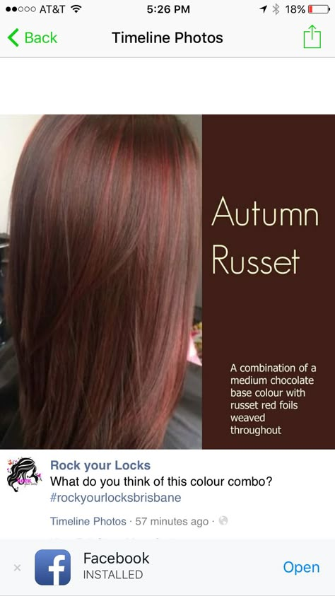 Fall Hair Color Straight Long, Mahogany Red Hair Color, Blonde Highlight Lowlight, Mahogany Hair Colour, Jessica Rabbit Hair, Hair Color Makeover, Fall 2023 Hair, 2023 Hair Color, Hair Do Ideas