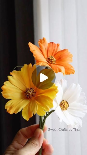 Tina Chen on Instagram: "These are cosmos sugar flowers that I made yesterday. You’ll notice the cosmos center is different from the one I made before. Have you tried making the new one? Make sure your sugar paste is very fresh and soft; it helps to create a perfect cosmos center.  #cosmos  #sugarflowerclass #sugarpaste #floralcrafts #edibleflowers #waferpaperflower #weddingcake #sugarflowers #sugarflower #ediableflowers  #waferpaperflowers #gumpasteflowers #gumpaste #gumpasteflower #flowerpaste #sugarart #weddingcakedecoration #cakedecorating #handmadeflowers  #sugarflowersclass #handmadeflowerclass#waferpaper  #威化紙花 #蛋糕裝飾  #糖花課程 #ウェーハーペーパー #手作り#可食ペーパー #婚禮蛋糕 #擬真糖花極致美學" Sugar Paste Flowers, Wafer Paper Flowers, Gumpaste Flowers, Cosmos Flowers, Gum Paste Flowers, Wedding Cake Decorations, Sugar Paste, August 17, Sugar Art