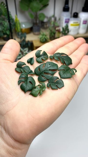 Polymer Clay Plants, Clay Plants, Clay Set, Diy Air Dry Clay, Tiny Plants, Polymer Clay Diy, Pasta Francesa, Monstera Plant, Pottery Crafts