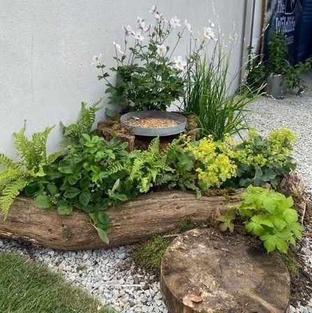 Woodland Garden Plants, Diy Front Yard Landscaping Ideas Budget, Log Garden Bed, Log Cabin Landscaping Ideas, Stumpery Garden Ideas, Waldorf Garden, Creative Landscaping, Rock Garden Landscaping, Woodland Garden