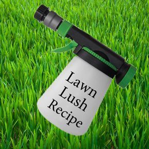 Lawn Lush Recipe for thick, green grass. Grub Worms, Lush Recipes, Lawn Repair, Lawn Food, Diy Lawn, Lawn Fertilizer, Aerate Lawn, Lawn Care Tips, Lush Lawn